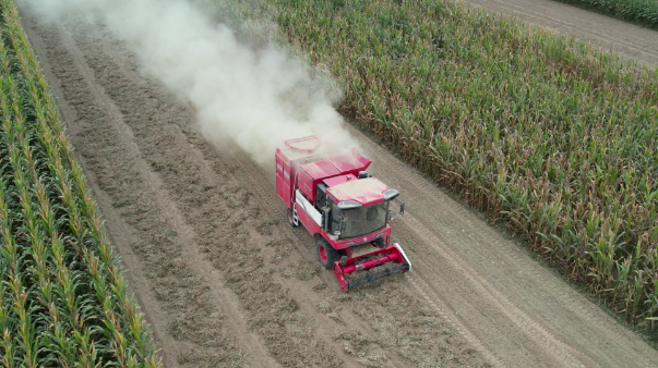 1758872066548084.png 3.png