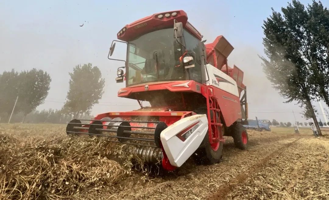 1758872131968658.jpg 1758872131968658.jpg