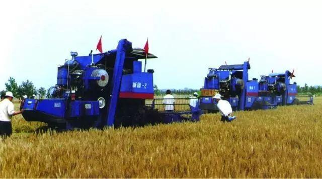 1766476938641646.jpg 1766476938641646.jpg