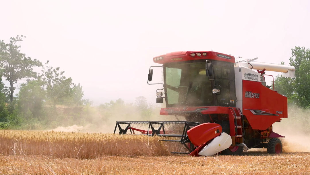 1766485107778724.png 1766485107778724.png